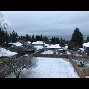 Meet your Posher, Regina